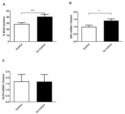 Airway Epithelial Cells Drive Airway Smooth Muscle Cell Phenotype Switching to the Proliferative and Pro-inflammatory Phenotype